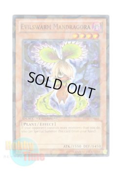 画像1: 英語版 DT07-EN028 Evilswarm Mandragora ヴェルズ・マンドラゴ (ノーマル・パラレル)