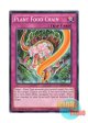 英語版 BP03-EN212 Plant Food Chain 植物連鎖 (ノーマル) 1st Edition