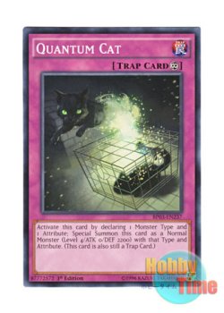 画像1: 英語版 BP03-EN237 Quantum Cat 量子猫 (ノーマル) 1st Edition