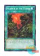 英語版 BP03-EN174 Murmur of the Forest 森のざわめき (シャターホイルレア) 1st Edition