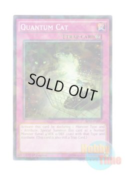 画像1: 英語版 BP03-EN237 Quantum Cat 量子猫 (シャターホイルレア) 1st Edition