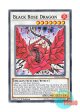 英語版 LED4-EN028 Black Rose Dragon ブラック・ローズ・ドラゴン (ノーマル) 1st Edition