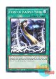 英語版 LED9-EN028 Fury of Kairyu-Shin 海竜神の激昂 (ノーマル) 1st Edition