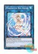 英語版 LED9-EN040 Marincess Sea Angel 海晶乙女シーエンジェル (ノーマル) 1st Edition