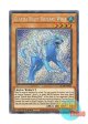 英語版 BLAR-EN031 Glacial Beast Blizzard Wolf 極氷獣ブリザード・ウルフ (シークレットレア) 1st Edition
