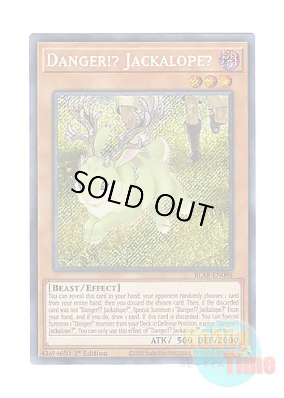 画像1: 英語版 BLAR-EN088 Danger!? Jackalope? 未界域のジャッカロープ (シークレットレア) 1st Edition (1)