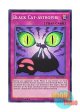 英語版 DRL2-EN037 Black Cat-astrophe 黒猫の睨み (スーパーレア) 1st Edition