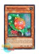 英語版 HA04-EN020 Naturia Ladybug ナチュル・レディバグ (スーパーレア) 1st Edition