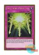 英語版 MVP1-ENG31 Spiritual Swords of Revealing Light 光の護封霊剣 (ゴールドレア) 1st Edition