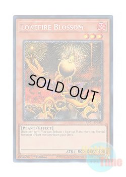 画像1: 英語版 RA01-EN002 Lonefire Blossom ローンファイア・ブロッサム (プラチナシークレットレア) 1st Edition