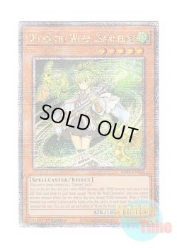 画像1: 英語版 RA01-EN018 Wynn the Wind Channeler 風霊媒師ウィン (クォーターセンチュリーシークレットレア) 1st Edition