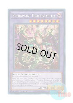 画像1: 英語版 RA01-EN027 Predaplant Dragostapelia 捕食植物ドラゴスタペリア (シークレットレア) 1st Edition