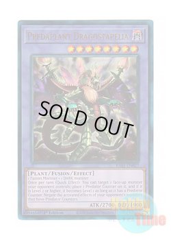 画像1: 英語版 RA01-EN027 Predaplant Dragostapelia 捕食植物ドラゴスタペリア (プリズマティックアルティメットレア) 1st Edition