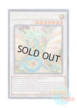 画像1: 英語版 RA01-EN030 Ancient Fairy Dragon エンシェント・フェアリー・ドラゴン (シークレットレア) 1st Edition