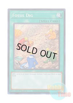 画像1: 英語版 RA01-EN053 Fossil Dig 化石調査 (シークレットレア) 1st Edition