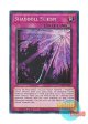 英語版 RA01-EN077 Shaddoll Schism 影依の偽典 (プラチナシークレットレア) 1st Edition