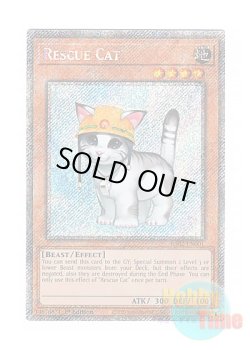 画像1: 英語版 RA02-EN001 Rescue Cat レスキューキャット (プラチナシークレットレア) 1st Edition