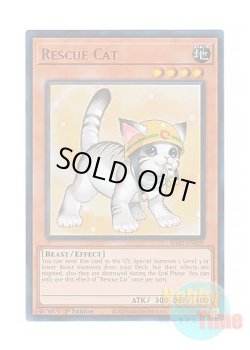 画像1: 英語版 RA02-EN001 Rescue Cat【Alternate Art】 レスキューキャット【イラスト違い】 (ウルトラレア) 1st Edition