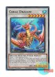 英語版 RA02-EN031 Coral Dragon 瑚之龍 (スーパーレア) 1st Edition
