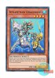 英語版 RA03-EN006 Atlantean Dragoons 海皇の竜騎隊 (スーパーレア) 1st Edition