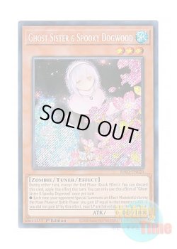 画像1: 英語版 RA03-EN020 Ghost Sister & Spooky Dogwood【Alternate Art】 儚無みずき【イラスト違い】 (シークレットレア) 1st Edition