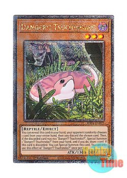 画像1: 英語版 RA04-EN027 Danger!? Tsuchinoko? 未界域のツチノコ (クォーターセンチュリーシークレットレア) 1st Edition