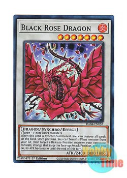 画像1: 英語版 RA04-EN057 Black Rose Dragon ブラック・ローズ・ドラゴン (スーパーレア) 1st Edition