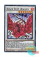 英語版 RA04-EN057 Black Rose Dragon ブラック・ローズ・ドラゴン (スーパーレア) 1st Edition