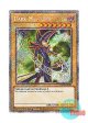 英語版 RA04-EN106 Dark Magician【Alternate Art TCG 6th Ver.】 ブラック・マジシャン【イラスト違い TCG第6版】 (プラチナシークレットレア) 1st Edition