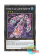 英語版 RA04-EN165 Number 30: Acid Golem of Destruction No.30 破滅のアシッド・ゴーレム (プラチナシークレットレア) 1st Edition