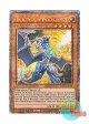 英語版 RA04-EN203 White Dragon Wyverburster 輝白竜 ワイバースター (クォーターセンチュリーシークレットレア) 1st Edition