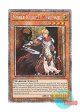 英語版 RA04-EN205 Noble Knight Medraut 聖騎士モルドレッド (プラチナシークレットレア) 1st Edition