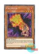 英語版 RA04-EN224 Fire Hand ファイヤー・ハンド (プラチナシークレットレア) 1st Edition