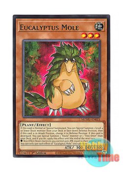 画像1: 英語版 MZMU-EN021 Eucalyptus Mole ユーカリ・モール (レア) 1st Edition