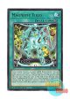 英語版 MZMU-EN111 Magnetic Field マグネット・フィールド (レア) 1st Edition