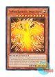 英語版 MZTM-EN074 The Winged Dragon of Ra - Immortal Phoenix ラーの翼神竜－不死鳥 (レア) 1st Edition