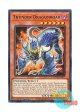 英語版 MZTM-EN077 Thunder Dragonroar 雷獣龍－サンダー・ドラゴン (レア) 1st Edition