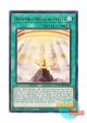 英語版 MZTM-EN102 Heavenly Dragon Circle 天幻の龍輪 (レア) 1st Edition