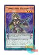 英語版 PEVO-EN019 Timebreaker Magician 刻剣の魔術師 (スーパーレア) 1st Edition