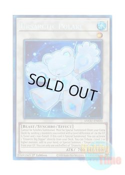 画像1: 英語版 ANGU-EN033 Ursarctic Polari ベアルクティ－ポラリィ (コレクターズレア) 1st Edition