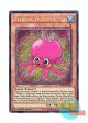 英語版 FUEN-EN014 Fluffal Octopus ファーニマル・オクト (シークレットレア) 1st Edition