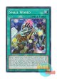 英語版 RA01-EN067 Small World スモール・ワールド (シークレットレア) 1st Edition