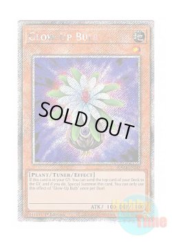 画像1: 英語版 RA03-EN245 Glow-Up Bulb グローアップ・バルブ (プラチナシークレットレア) 1st Edition