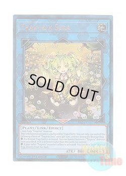 画像1: 英語版 RA04-EN075 Traptrix Sera セラの蟲惑魔 (プリズマティックアルティメットレア) 1st Edition