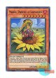 英語版 SESL-EN053 Marina, Princess of Sunflowers 姫葵マリーナ (スーパーレア) 1st Edition
