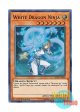 英語版 SHVA-EN024 White Dragon Ninja 白竜の忍者 (スーパーレア) 1st Edition