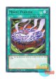 英語版 VASM-EN028 Magic Planter マジック・プランター (レア) 1st Edition