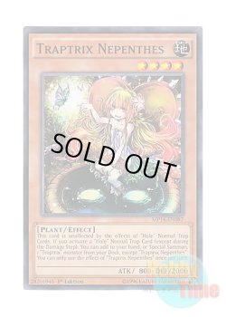 画像1: 英語版 MP14-EN087 Traptrix Nepenthes カズーラの蟲惑魔 (ノーマル) 1st Edition