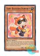 英語版 MP14-EN136 Baby Raccoon Ponpoko 子狸ぽんぽこ (ノーマル) 1st Edition