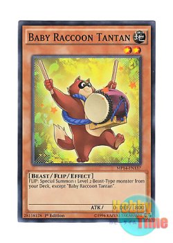 画像1: 英語版 MP14-EN137 Baby Raccoon Tantan 子狸たんたん (ノーマル) 1st Edition